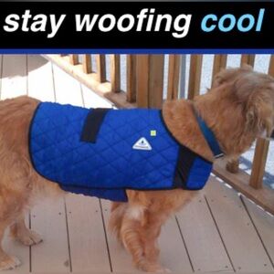 🆕 Dog Cooling Vest